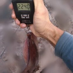 まさかこんな所に!?